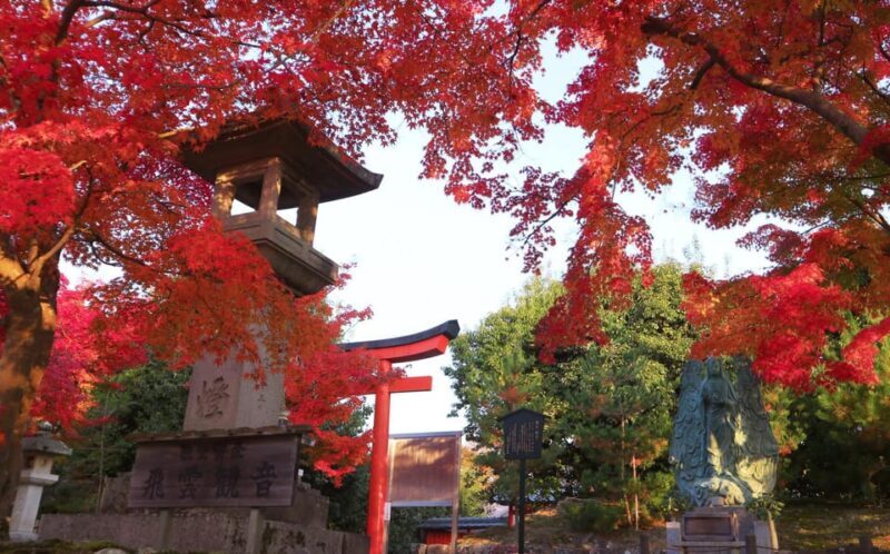 Kyoto: 2-Hour Guided Tour of Arashiyama's Autumn Leaves - Whats Included & Whats Not