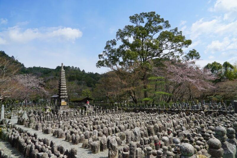 Kyoto: 5-Hour Arashiyama Walking Tour - Why This Tour Works Well