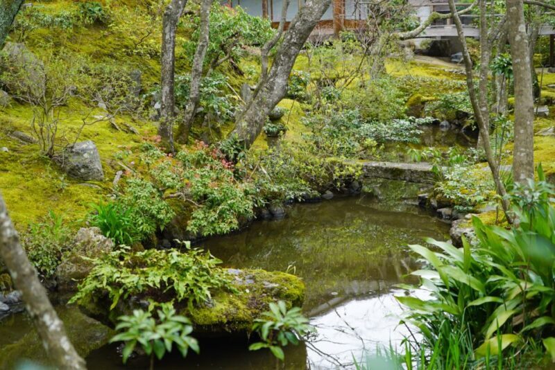 Kyoto: 5-Hour Arashiyama Walking Tour - The Sum Up
