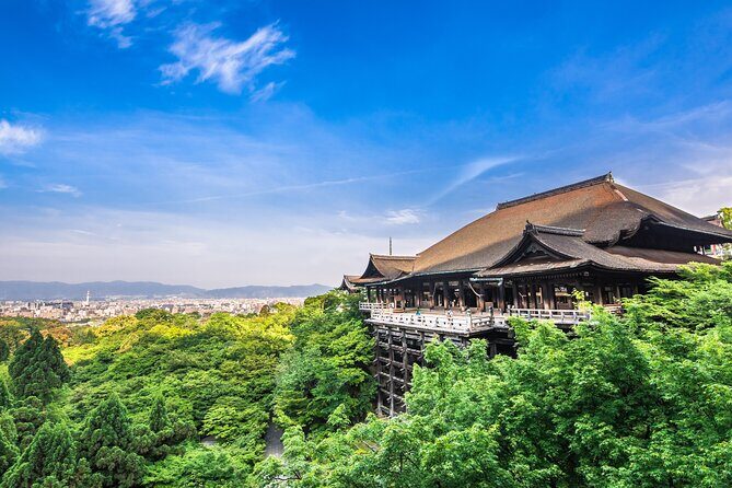 Kyoto 8hr Tour from Osaka: English speaking Driver, No Guide - Key Points
