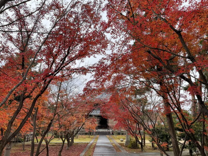 Kyoto: ALL Included Customized Sightseeing Tour with Local - Why Choose This Tour?