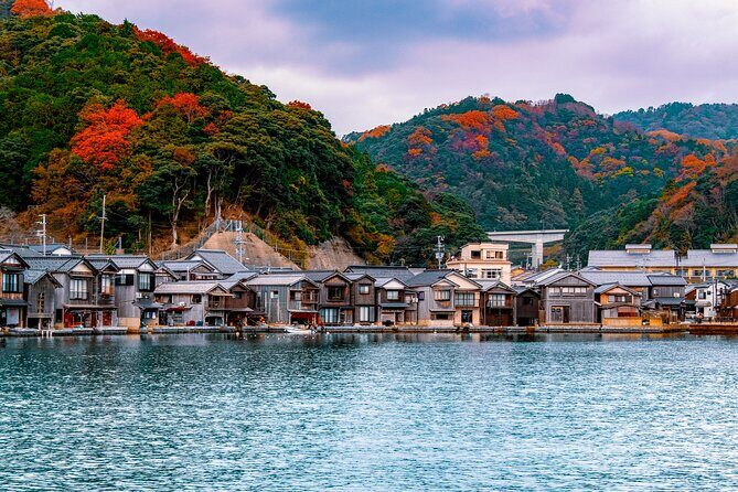 Kyoto Amanohashidate and Ine No Funaya Tour from Osaka - Who Should Consider This Tour?