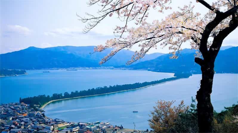Kyoto: Amanohashidate Ine Funaya Tour - Who Will Enjoy This Tour Most?