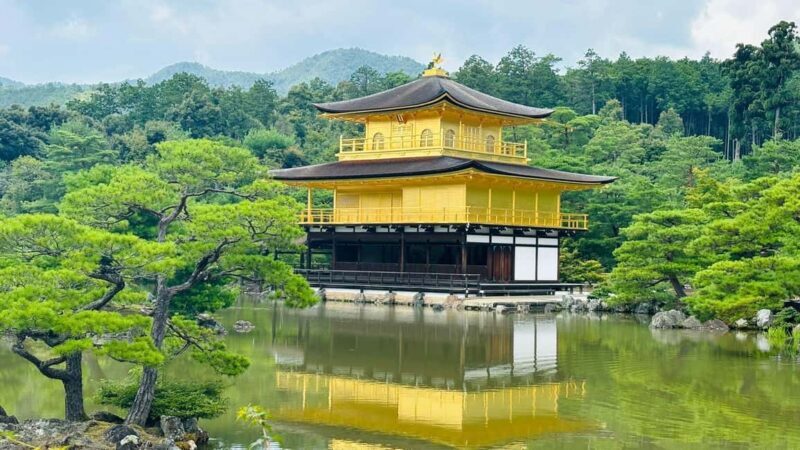 Kyoto and Nara Customised Full Day Private Tour with Pickup - Key Points