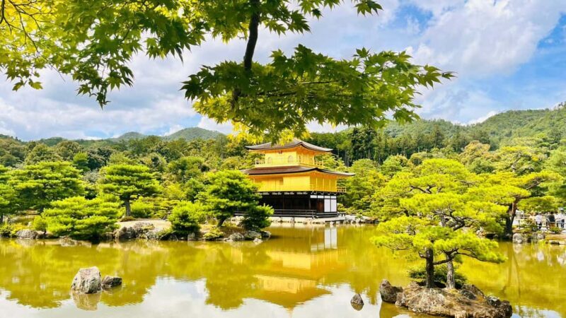 Kyoto and Nara Customised Full Day Private Tour with Pickup - Exploring the Details: What This Tour Offers