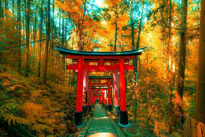 Kyoto and Nara Customizable Private Tour with English Driver - Whats the Experience Like?