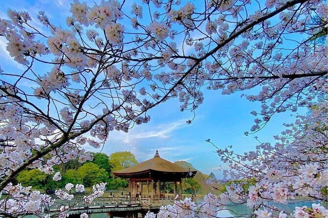 Kyoto and Nara Day Tour from Osaka - What Makes This Tour Stand Out?