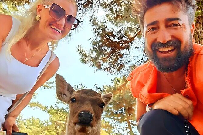 Kyoto and Nara Day Tour From Osaka with Deer Sightings - Exploring Kyoto and Nara from Osaka: A Balanced Look at This Day Tour
