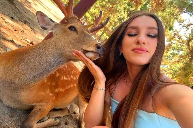 Kyoto and Nara Day Tour From Osaka with Deer Sightings - Is This Tour Right for You?