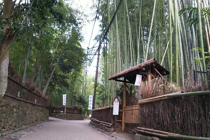Kyoto and Nara Fully Satisfying Two-Day Walking Tour - A Closer Look at the Itinerary