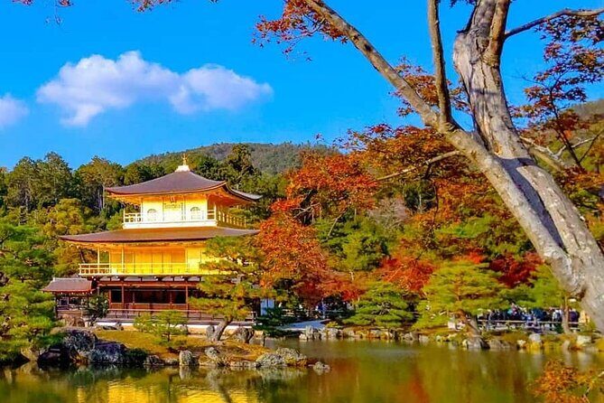 Kyoto and Nara Private Customizable Day Trip by Luxury Car - Authenticity and Comfort