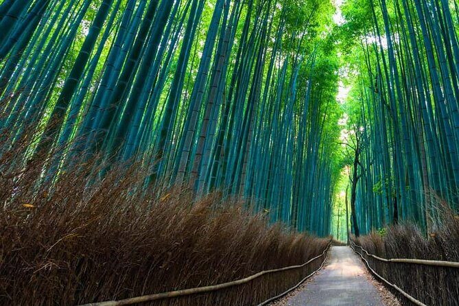 Kyoto and Nara Private Customizable Day Trip by Luxury Car - Who Will Love This Tour?