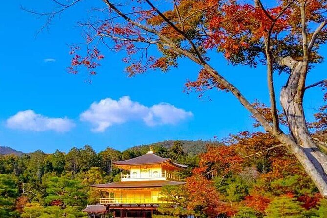 Kyoto and Nara Private Customizable Day Trip by Luxury Car - The Sum Up