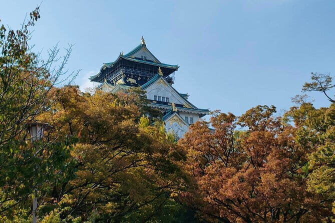 Kyoto and Nara Private Trip - Who Should Consider This Tour?