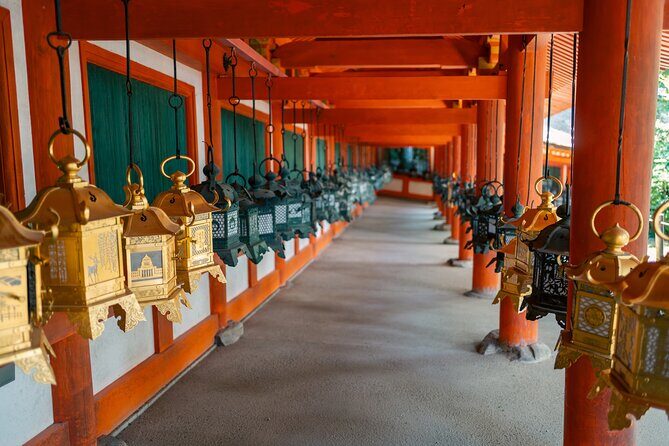 Kyoto and Nara Small Group Tour from Osaka - Who Will Love This Tour?