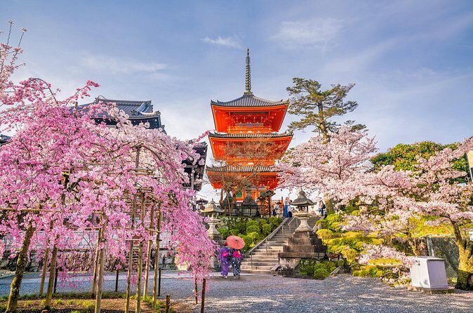 Kyoto and Nara Small Group Tour from Osaka - The Sum Up: Is This Tour Right for You?