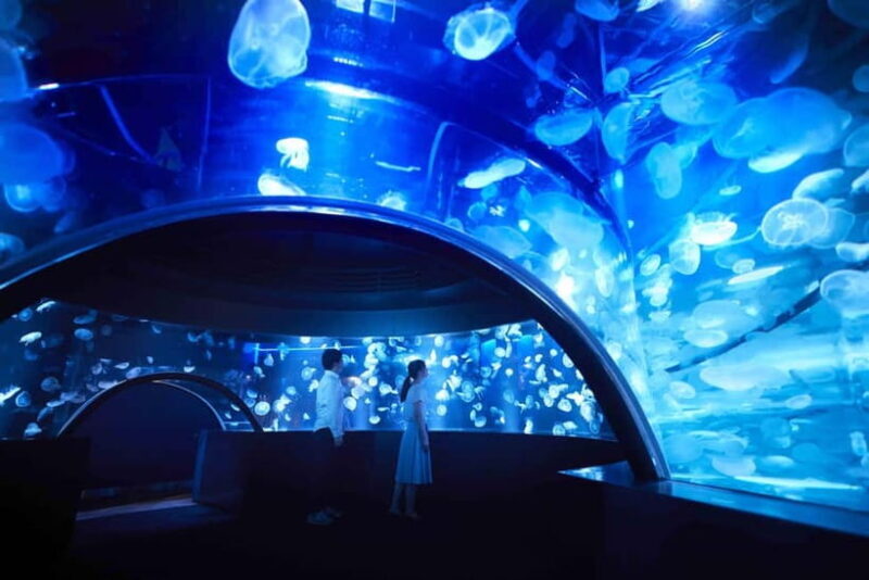 Kyoto Aquarium Admission Ticket - Practical Tips for Your Visit