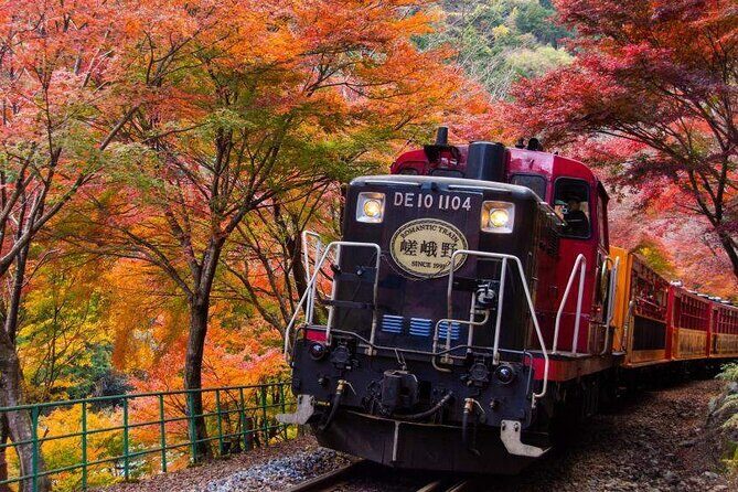 Kyoto Arashiyama and Nara Tour with Sagano Train, Giikawa Honpo - The Itinerary Breakdown: What to Expect