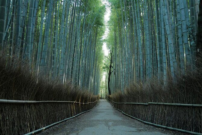Kyoto Arashiyama Bamboo Forest Hiking TourHidden Temples - Exploring the Kyoto Arashiyama Bamboo Forest Hiking Tour—A Genuine Adventure