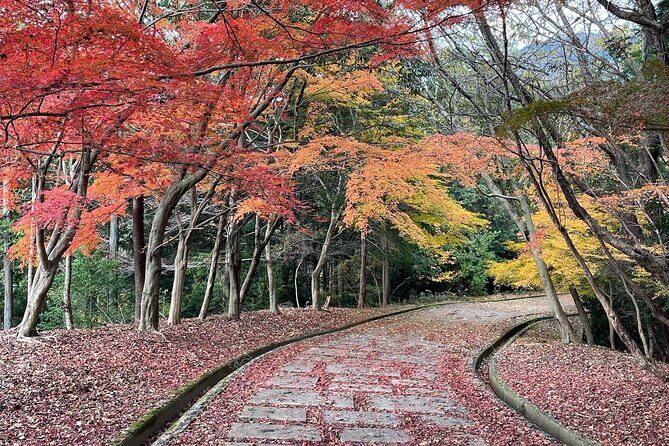 Kyoto Arashiyama Bamboo Forest Hiking TourHidden Temples - Key Points