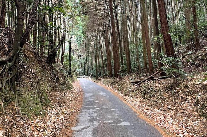 Kyoto Arashiyama Bamboo Forest Hiking TourHidden Temples - Who Should Book This Tour?