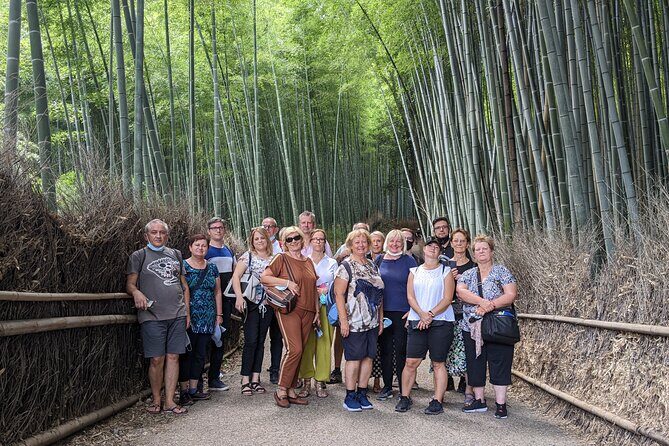 Kyoto: Arashiyama Bamboo, Temple, Matcha, Monkeys & secret spots - The Heart of the Tour: A Detailed Breakdown