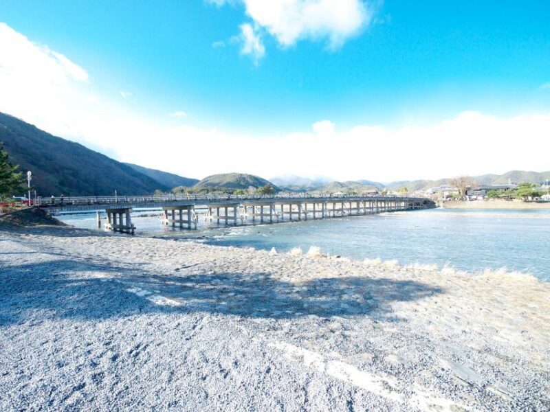 Kyoto: Arashiyama Bamboo, Temple, Matcha, Monkeys, & secrets - Who Should Book This Tour?