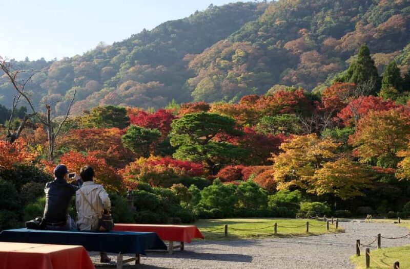 Kyoto: Arashiyama Bamboo, Togetsukyo bridge, Sanso, and more - A Practical Look at the Tour Experience
