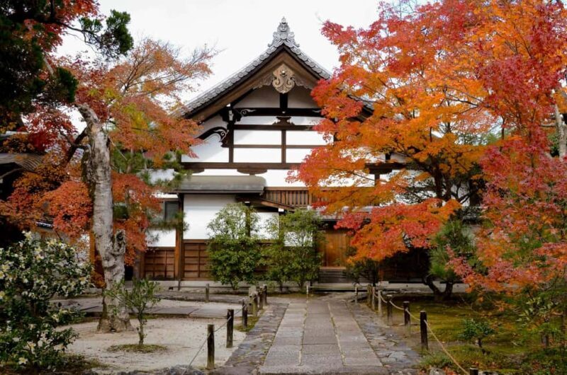 Kyoto: Arashiyama Bamboo, Togetsukyo bridge, Sanso, and more - Why This Tour Works Well