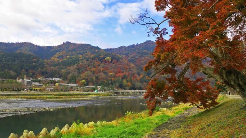 Kyoto: Arashiyama Bamboo, Togetsukyo bridge, Sanso, and more - The Sum Up: Is This Tour Right for You?