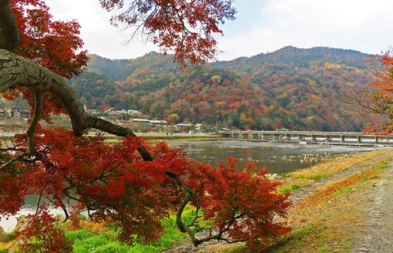Kyoto: Arashiyama Bamboo, Togetsukyo bridge, Sanso, and more - FAQ
