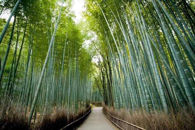 Kyoto Arashiyama Customized Private Tour with Licensed Guide - Key Points