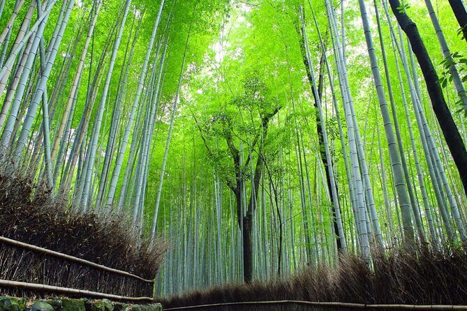 Kyoto: Arashiyama Early Access Bamboo & Temple Tour - Why This Tour Works Well