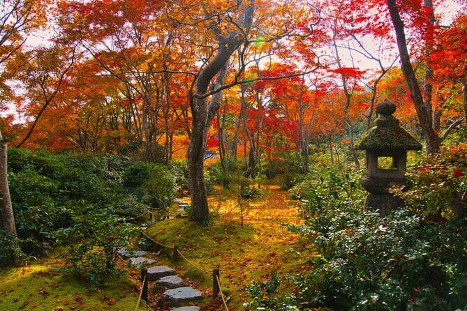Kyoto Arashiyama: Fall Foliage Walking TourAutumn's limited - FAQ