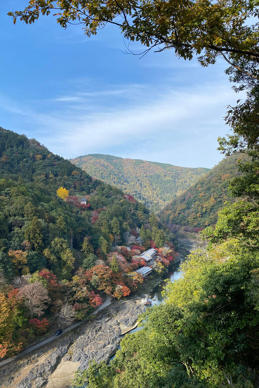 Kyoto: Arashiyama Guided Tour, Bamboo, Monkey, Zen Temple - An In-Depth Look at the Kyoto Arashiyama Guided Tour