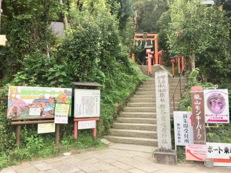 Kyoto: Arashiyama Monkey Park, Bamboo Forest, and Temples - Final Thoughts