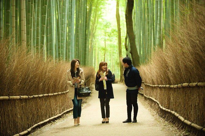 Kyoto Arashiyama Rickshaw Tour with Bamboo Forest - An In-Depth Look at the Kyoto Bamboo Forest Rickshaw Tour
