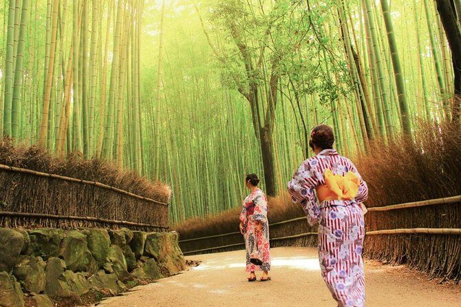 Kyoto Arashiyama & Sagano Bamboo Private Tour with Government-Licensed Guide - Exploring the Itinerary: A Deep Dive