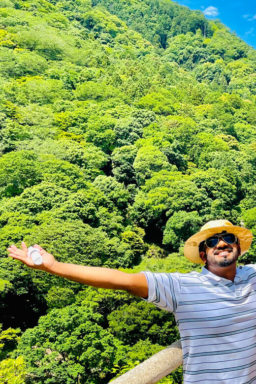 Kyoto Arashiyama Walking Tour: Bamboo Grove, Monkey&Secrets. - Final Thoughts: Who Will Love This Tour?