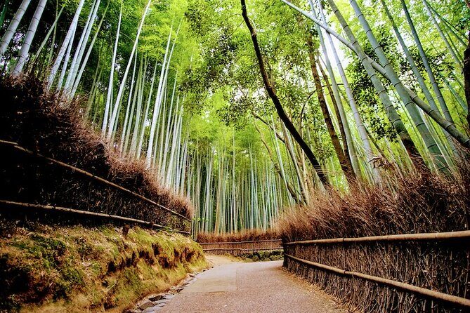Kyoto Arashiyama Walking Tour - Bamboo, Monkeys, Temple & Secrets - The Sum Up