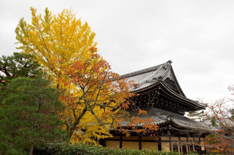Kyoto: Authentic Biking Half Day Experience - What’s Included and What’s Not