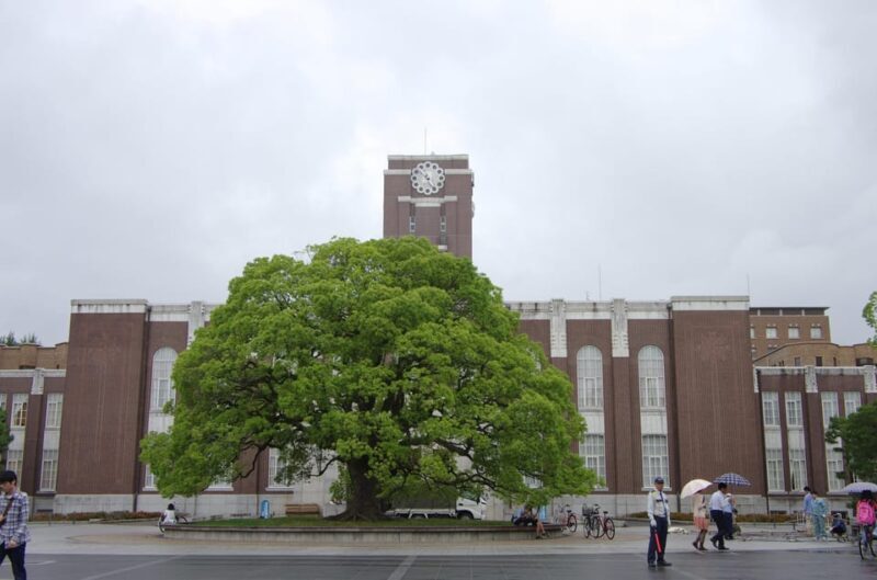Kyoto: Authentic Biking Half Day Experience - The Experience from a Traveler’s Perspective
