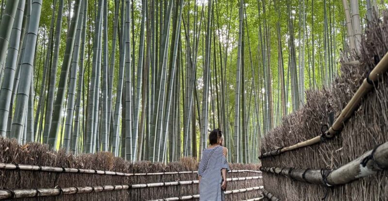 Kyoto: Avoid the Crowds at the Hidden Gems of Arashiyama - An Authentic Day in Kyoto’s Arashiyama