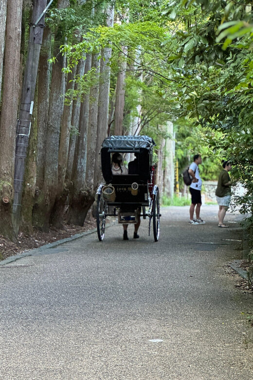 Kyoto: Avoid the Crowds at the Hidden Gems of Arashiyama - Strolling Through Traditional Streets and Local Shops