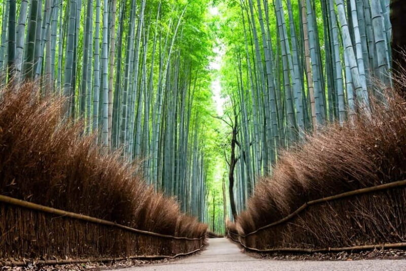 Kyoto: City Highlights Private Walking Tour - An In-Depth Look at the Kyoto: City Highlights Private Walking Tour