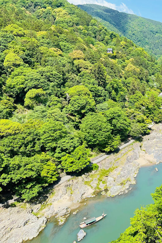 Kyoto Customized Guided, Private Tour - Final Thoughts: Who Should Consider This Tour?