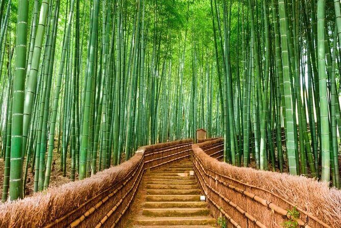 Kyoto Customized Private Car Tour - Key Points