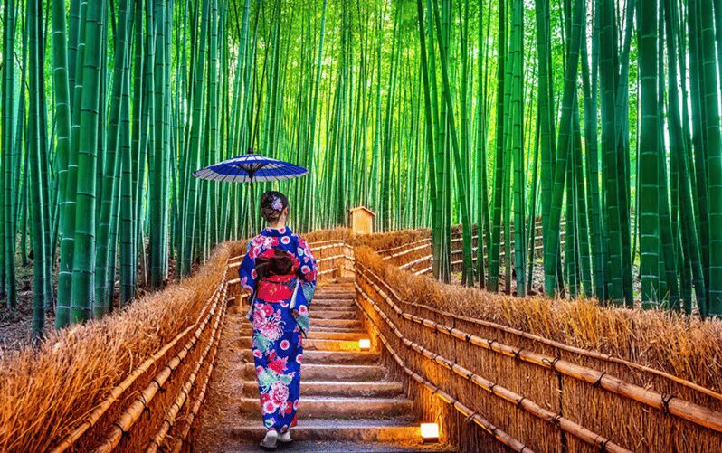 Kyoto Day Tour with Certified Tour Guide & Luxury vehicle - Key Points