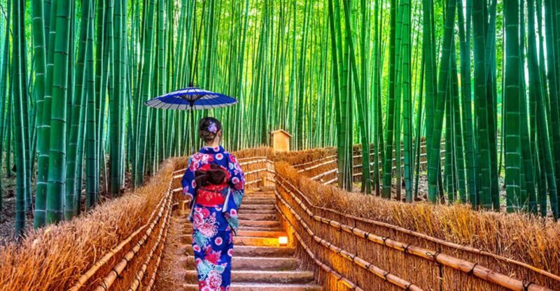 Kyoto Day Tour with Certified Tour Guide & Luxury vehicle - Detailed Breakdown of the Itinerary