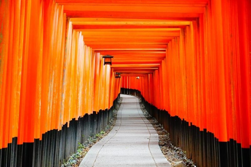 Kyoto Day Trip! Private Customizable Tour with Expert Guides - Key Points